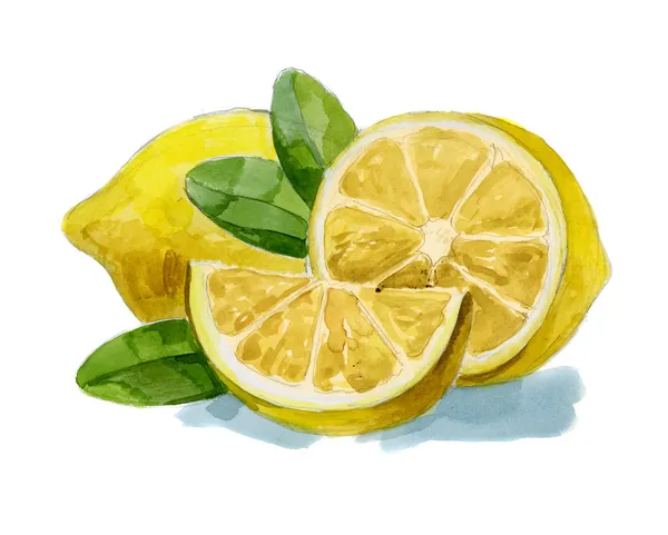 Suluboya el çekilmiş limon — Stok fotoğraf