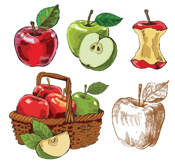 Ręcznie rysowane jabłka — Wektor stockowy