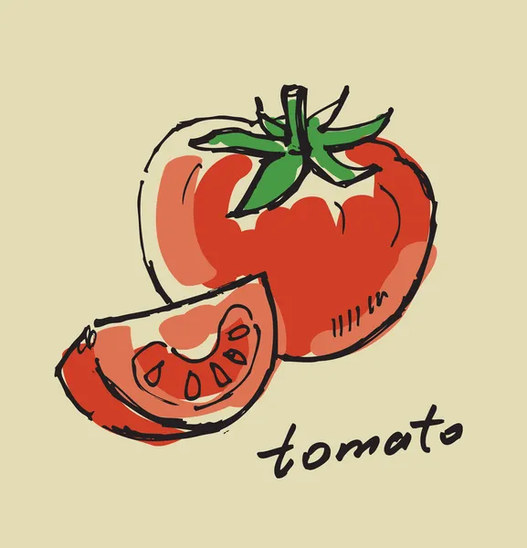 Tomate desenhado à mão — Vetor de Stock