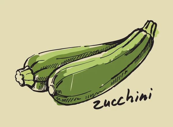Zucchine disegnate a mano — Vettoriale Stock