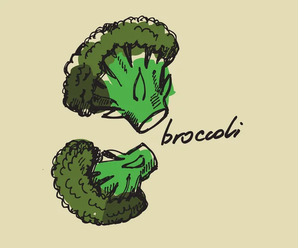 Kézzel rajzolt brokkoli — Stock Vector