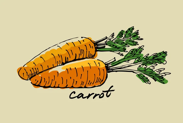 Carota disegnata a mano — Vettoriale Stock