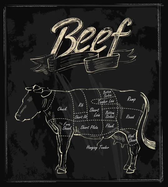 Vector hand drawn beef — Stock Illustration Vector hand drawn beef Royalty Free Stock Illustrations