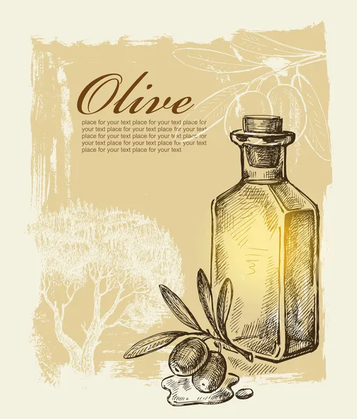 Ručně tažené olivový — Stockový vektor