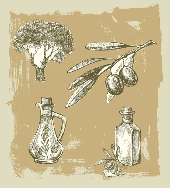 Aceituna extraída a mano — Archivo Imágenes Vectoriales