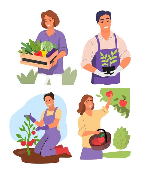 Ogrodnicy ustawiają wektor. Mężczyzna i kobieta sadzenie warzyw w ogrodzie — Wektor stockowy