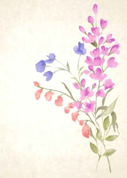 Acquerello fiore — Foto Stock