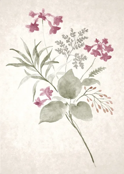 Akvarel blomst - Stock-foto