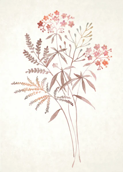 Akvarel blomst - Stock-foto