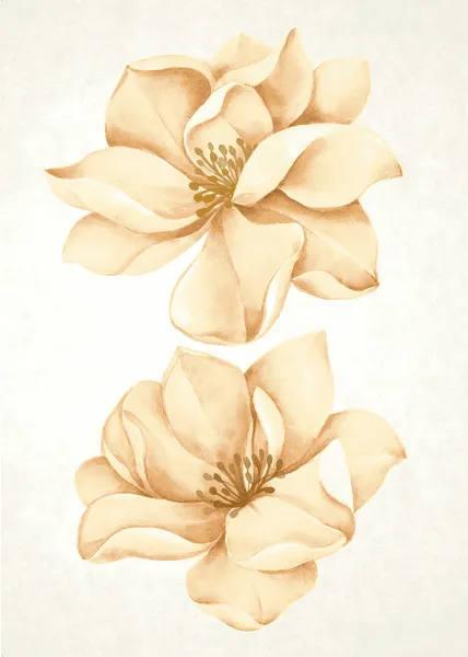 Flori de acuarelă — Fotografie, imagine de stoc