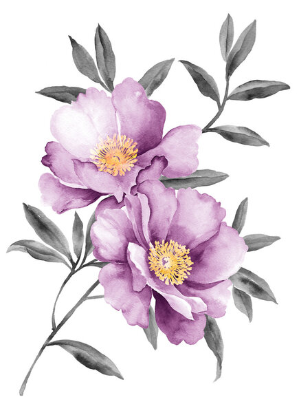 Watercolor illustration flower