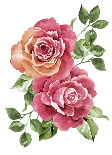 Aquarell Illustration Blume — Stockfoto