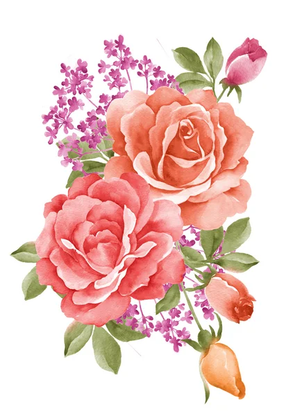 Aquarela ilustração flor — Fotografia de Stock