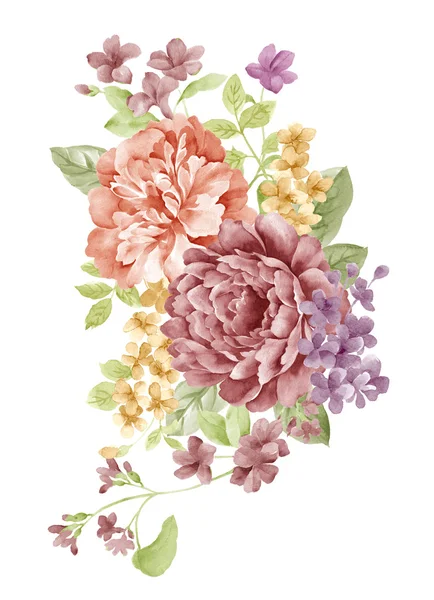 Watercolor illustration — Stock Photo, Image