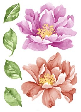 Sulu Boya illustration0404