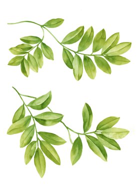 Sulu Boya illustration0404