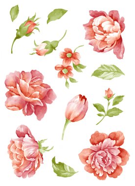 Sulu Boya illustration0404