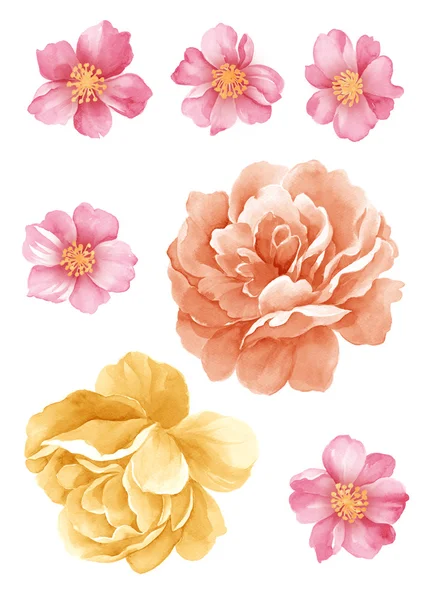 Sulu Boya illustration0404