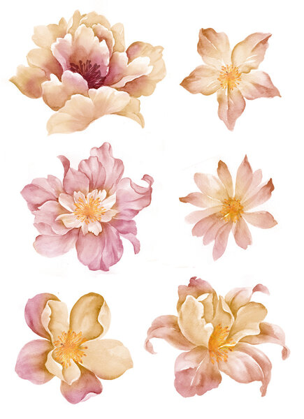 Watercolor illustration0404 — Stock Image Watercolor illustration0404 Stock Image