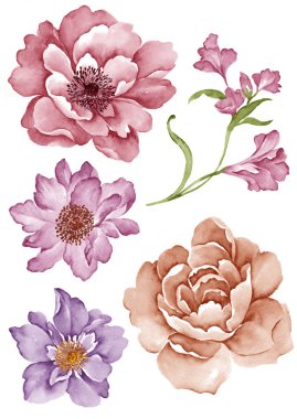 basit beyaz arka planda sulu boya çizim çiçek