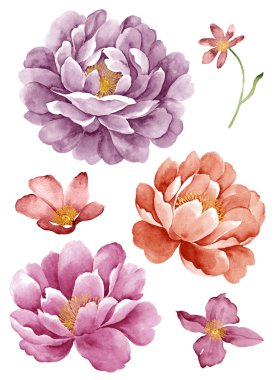 basit beyaz arka planda sulu boya çizim çiçek