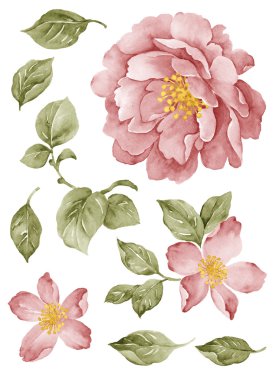 basit beyaz arka planda sulu boya çizim çiçek