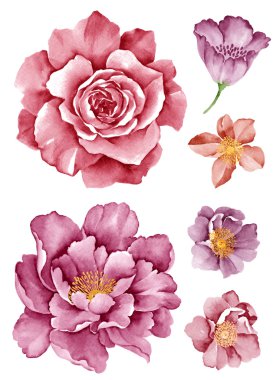 basit beyaz arka planda sulu boya çizim çiçek