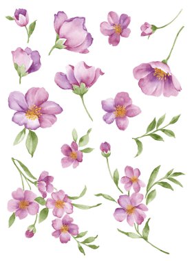 basit beyaz arka planda sulu boya çizim çiçek