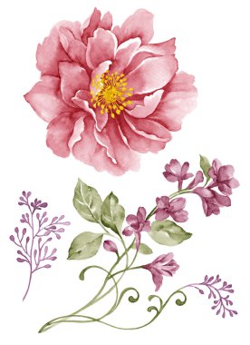 basit beyaz arka planda sulu boya çizim çiçek