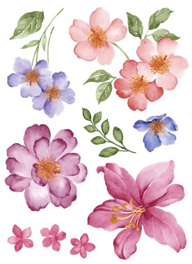 basit beyaz arka planda sulu boya çizim çiçek