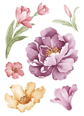 basit beyaz arka planda sulu boya çizim çiçek