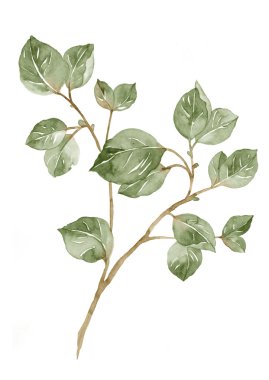 basit beyaz arka planda sulu boya çizim çiçek