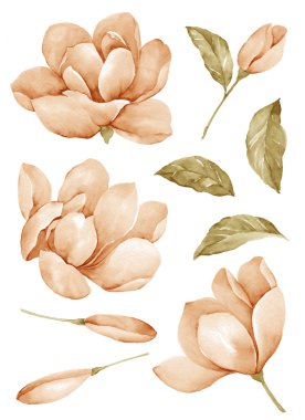 basit beyaz arka planda sulu boya çizim çiçek