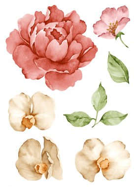 basit beyaz arka planda sulu boya çizim çiçek