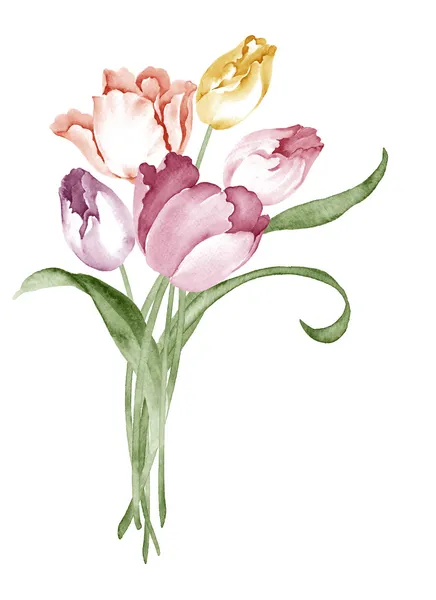 Watercolor illustration flower in simple white background — Stock Photo, Image