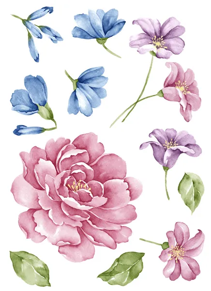 Aquarell Illustration Blume in einfachen weißen Hintergrund — Stockfoto