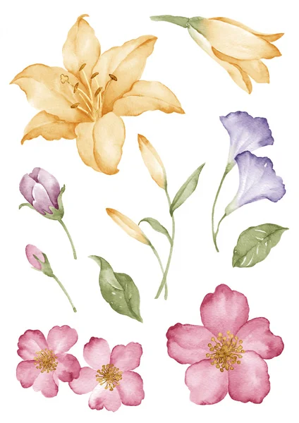 Akvarell illustration blomma i enkel vit bakgrund — Stockfoto