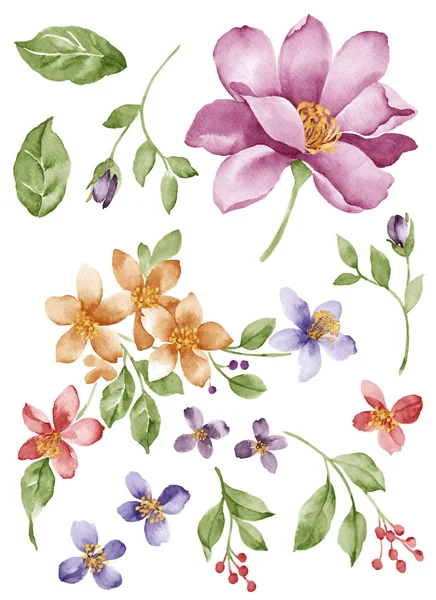 Aquarell Illustration Blume in einfachen weißen Hintergrund — Stockfoto