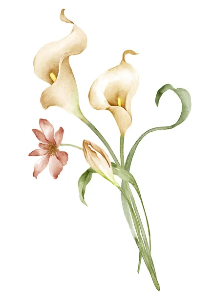 Aquarel illustratie bloem in eenvoudige witte achtergrond — Stockfoto