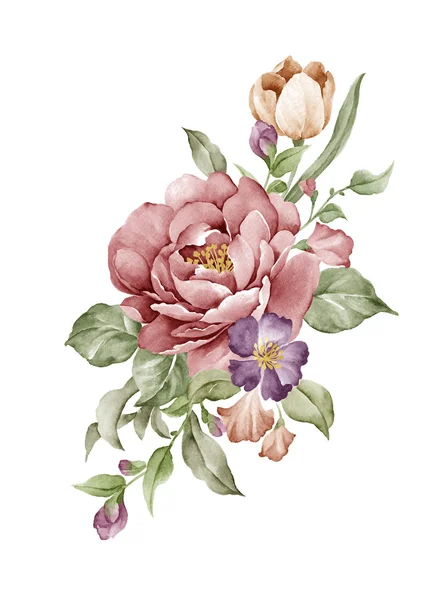 Aquarela ilustração flor em fundo branco simples — Fotografia de Stock
