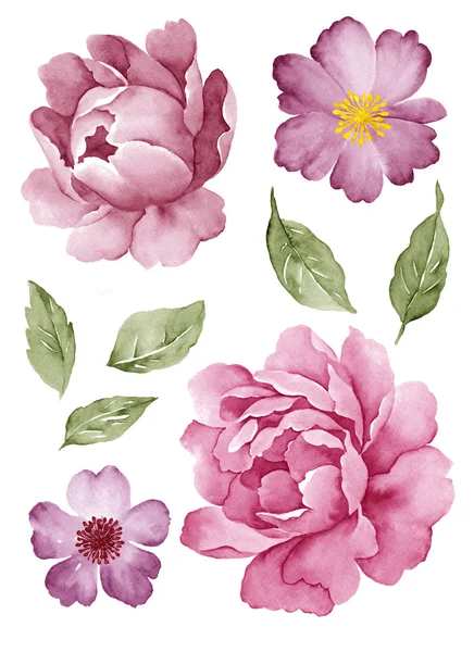 Aquarell Illustration Blume in einfachen weißen Hintergrund — Stockfoto