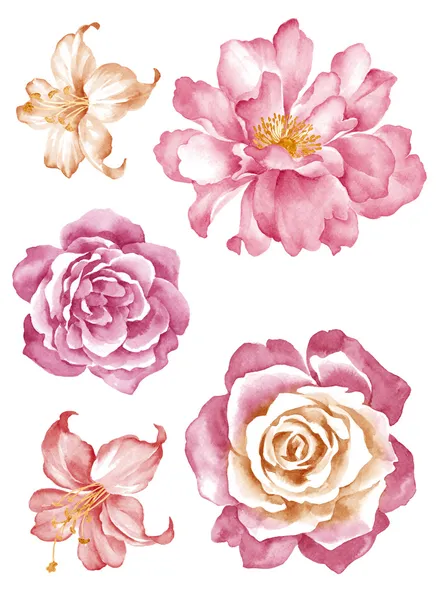 Watercolor illustration flower in simple white background — Stock fotografie