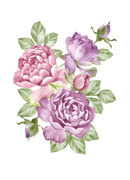 Acuarela flor ilustración en fondo blanco simple —  Fotos de Stock