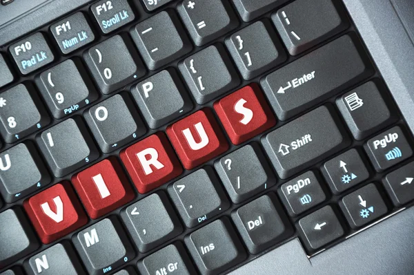 Virus on keyboard — Stock Photo, Image