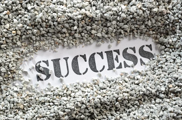 Success -- Treasure Word Series — Stock Photo, Image