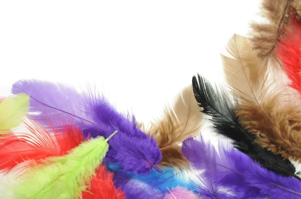 화려한 깃털 테두리 — 스톡 사진
