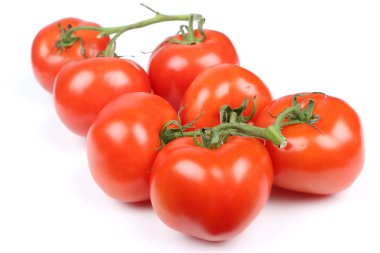 Beyaz arkaplanda taze domatesler