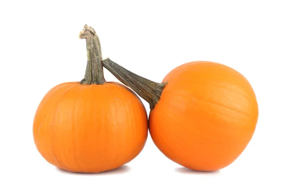 Pumpkins on white background — Stock Photo, Image