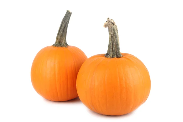 Calabazas sobre fondo blanco —  Fotos de Stock