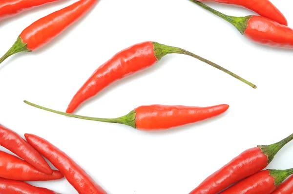 Pimenta vermelha quente ou pimenta malagueta isolada — Fotografia de Stock